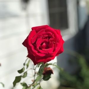 Meet your Posher, Bryanna